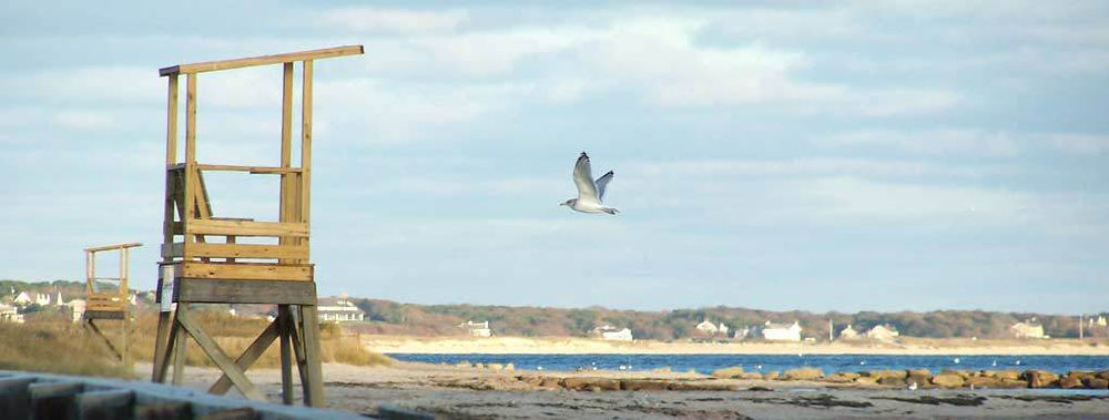 Handkerchief Shoals Inn South Harwich Екстер'єр фото